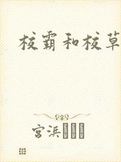 校霸和校草封面