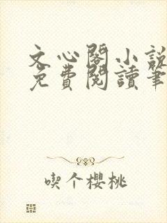 文心阁小说全文免费阅读笔趣阁