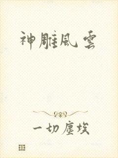 神雕风云