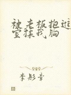 被老板抱进办公室揉我胸封面