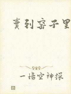 卖到窑子里np封面