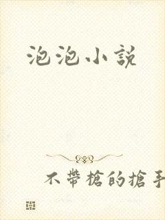 泡泡小说