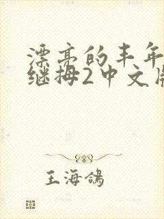 漂亮的丰年经的继拇2中文版封面
