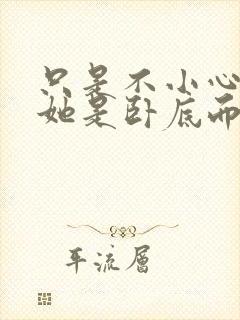 只是不小心发现她是卧底而已封面