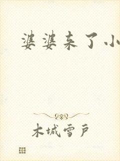 婆婆来了小说