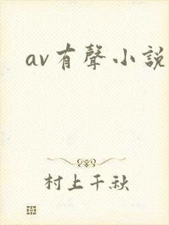 av有声小说