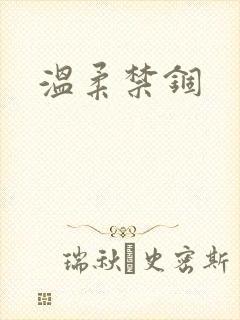 温柔禁锢封面