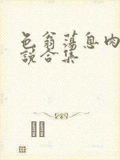 色翁荡息肉欲小说合集
