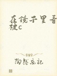 在镜子里看自己被c