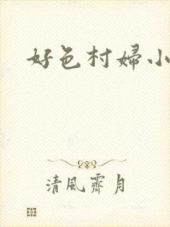 好色村妇小银贼封面