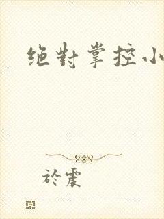 绝对掌控小说