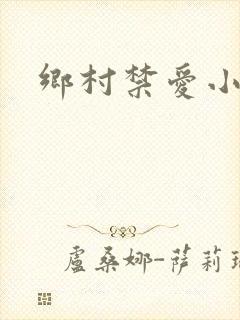 乡村禁爱小说封面