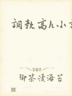 调教高h小说