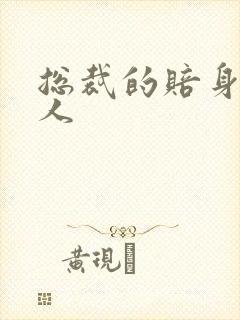 总裁的赔身小情人封面