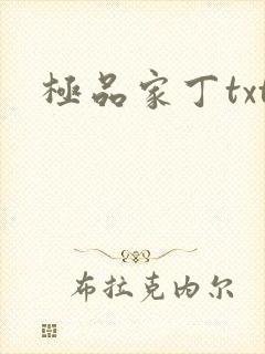 极品家丁txt
