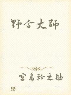 野合大师封面