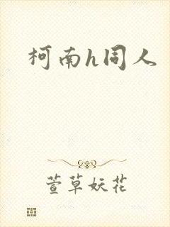 柯南h同人