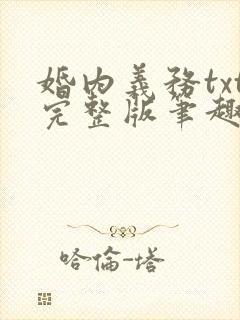 婚内义务txt完整版笔趣阁封面