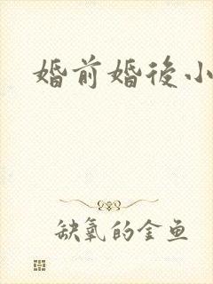 婚前婚后小说
