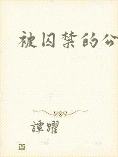 被囚禁的公主