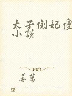 太子侧妃傻乎乎小说封面