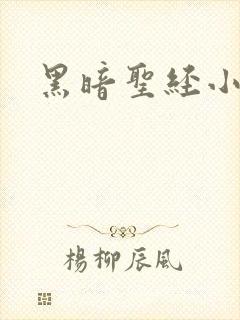 黑暗圣经小说