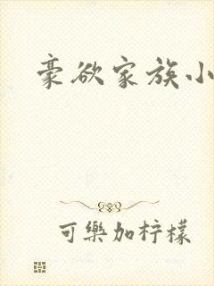 豪欲家族小说