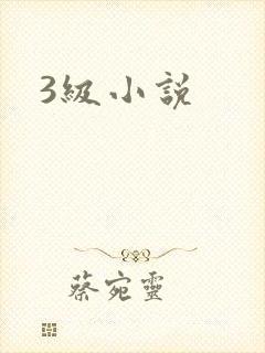 3级小说