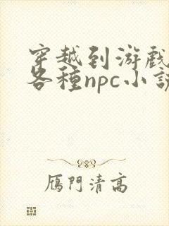 穿越到游戏里和各种npc小说封面