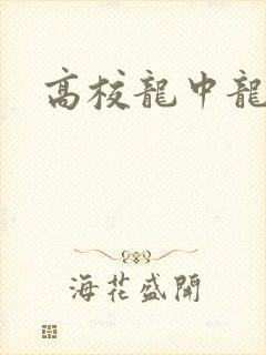 高校龙中龙