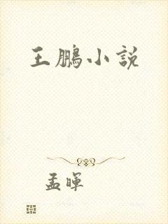 王鹏小说封面
