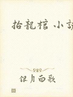抬龙棺 小说