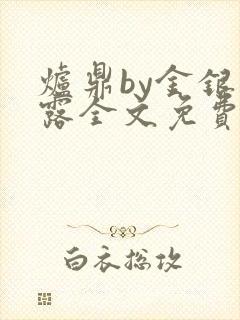 炉鼎by金银花露全文免费阅读笔趣阁