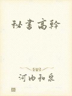 秘书高干