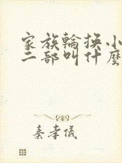 家族轮换小说第二部叫什么名字