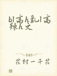 bl高h乱l高辣h文