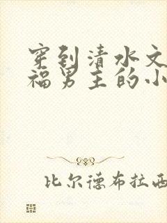 穿到清水文里造福男主的小说