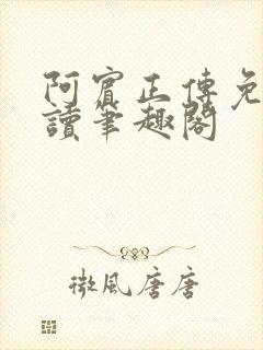 阿宾正传免费阅读笔趣阁封面