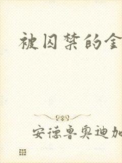 被囚禁的金丝雀封面