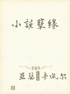 小说孽缘