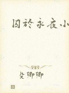 囚于永夜小说封面