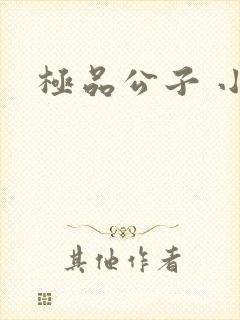 极品公子 小说