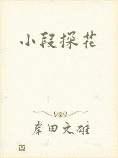 小段探花