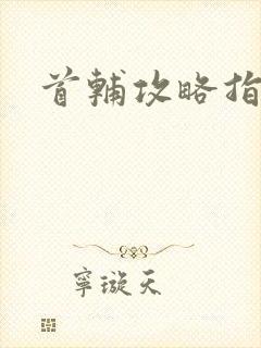 首辅攻略指南