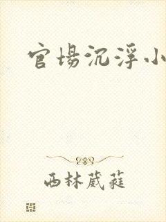 官场沉浮小说封面