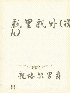 戏里戏外(现场h)