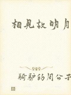 相见故明月