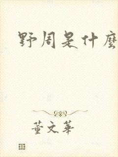 野周是什么意思封面