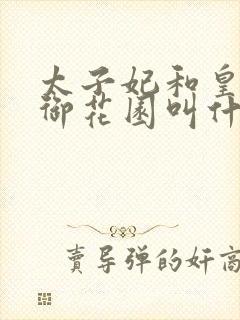 太子妃和皇帝在御花园叫什么小说