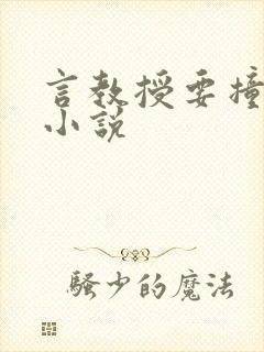 言教授要撞坏了小说封面